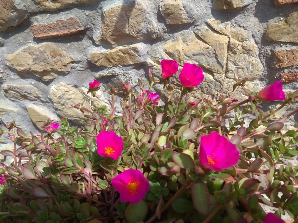La Magnolia Bed & Breakfast Greve in Chianti Exterior photo