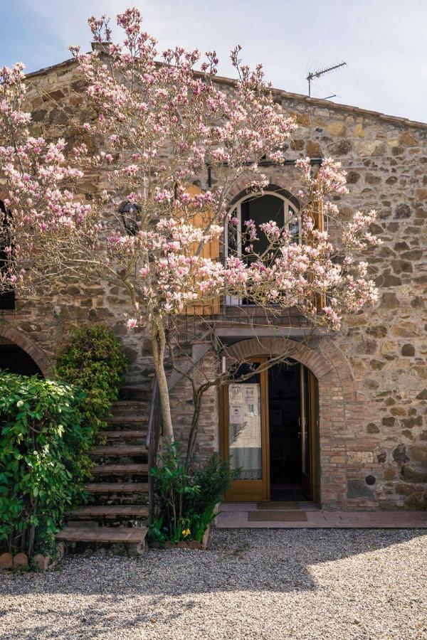 La Magnolia Bed & Breakfast Greve in Chianti Exterior photo